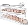 Sylphide Auto Rolling Fridge Egg Organizer Review: Space-Saving Egg Dispenser fo