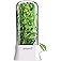 Herb Saver Pod Review: Best Fresh Herb Keeper for Cilantro & Parsley